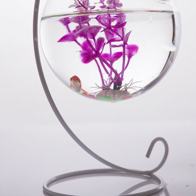 Ball Shaped Glass Hanging Flower Pot Vase