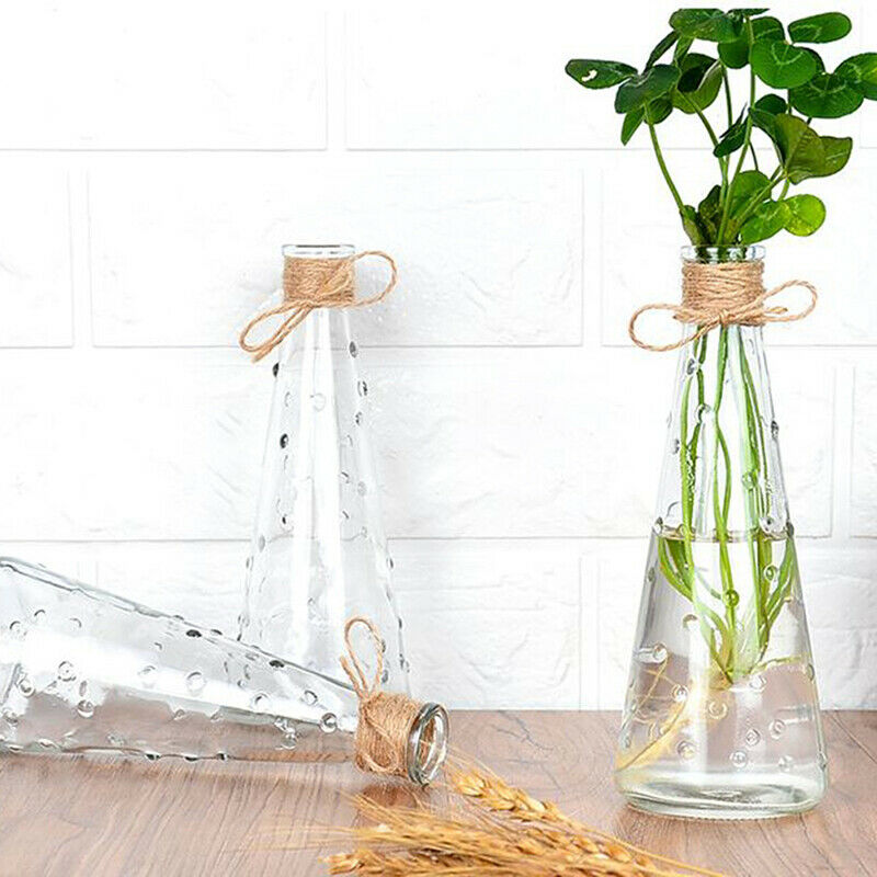 Raindrop Conical Glass Vase Decorate Home Nordic Dried Flower Hydroponic Bottle