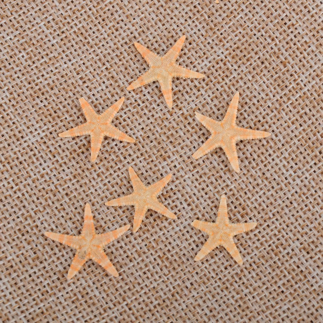 100Pcs/Set Mini Natural Flat Tan Starfish Seashells Beach Wedding Decor Craft