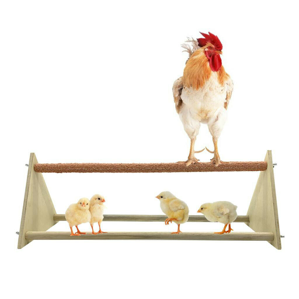 Parrot Pet Chicken Triangle Big Perch Stand, a Perfect Habitat Design for Your