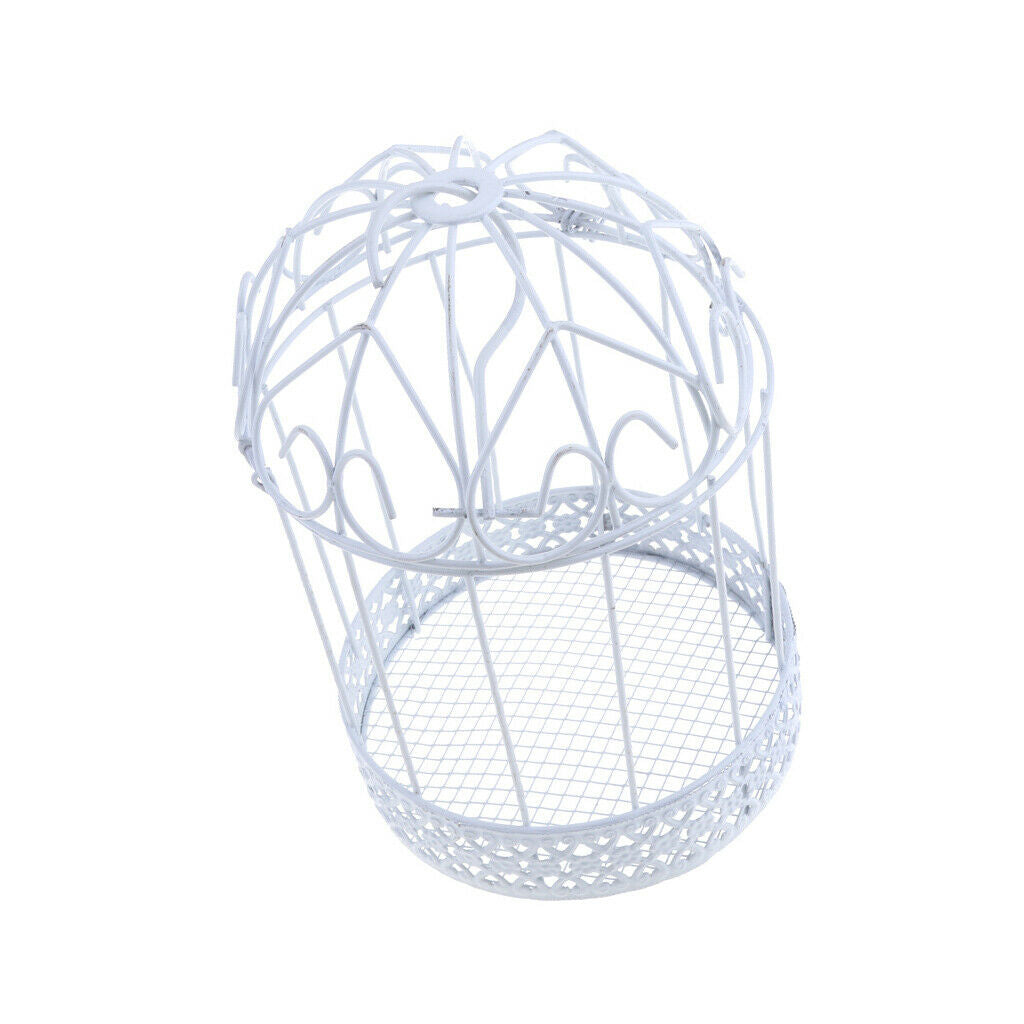 Iron Birdcage Frame Wire Succulent Pot Metal Planter Iron Plant Basket 13cm
