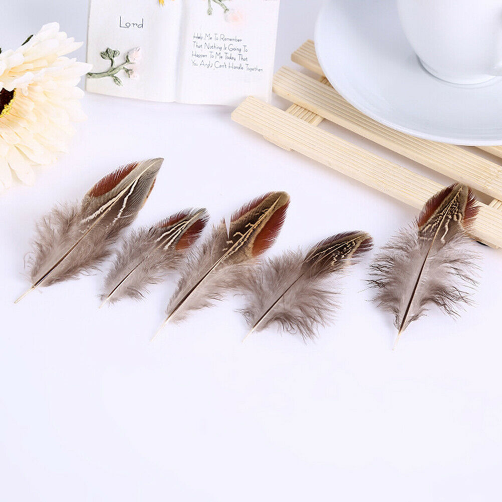 50pcs/set pheasant feathers 5-10cm chicken plumes for carnival diy craft .l8