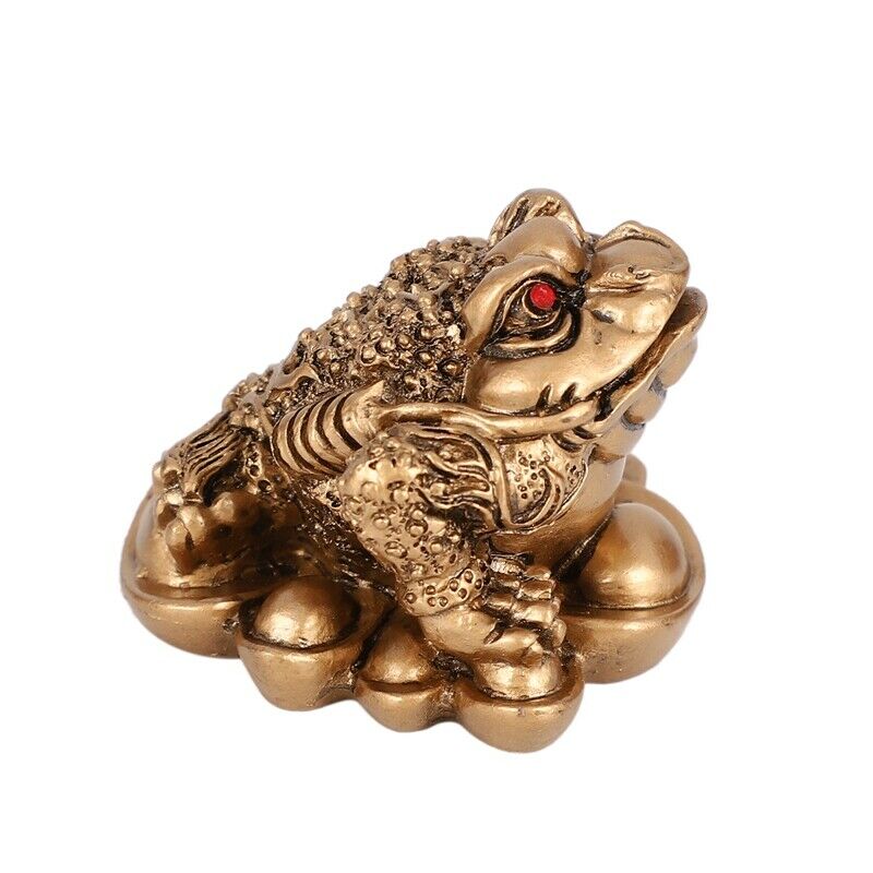 Chinese Feng Shui Money Lucky Fortune Wealth  Toad Coin Home Decoration Home OI3