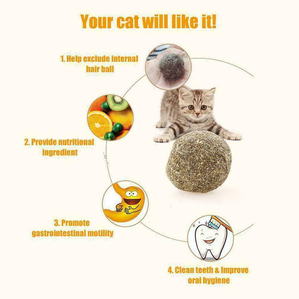 Cat Snack Catnip Ball Lick Nutrition Ball Molar Cleaning AU Cat Snacks