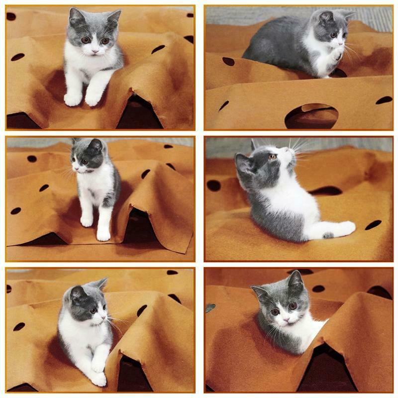 Cat Playing Mat Training Pet Activity Play Mats Collapsible Pets Rug Scratch Pad