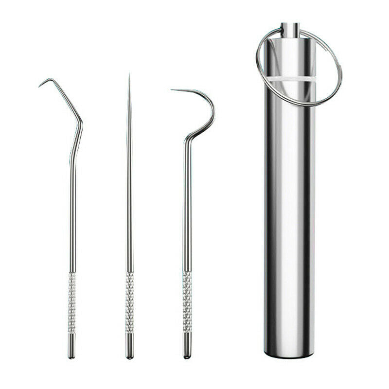 3pcs/set Stainless Steel Toothpick Oral Care Flossing Tool Portable KeychainFCA