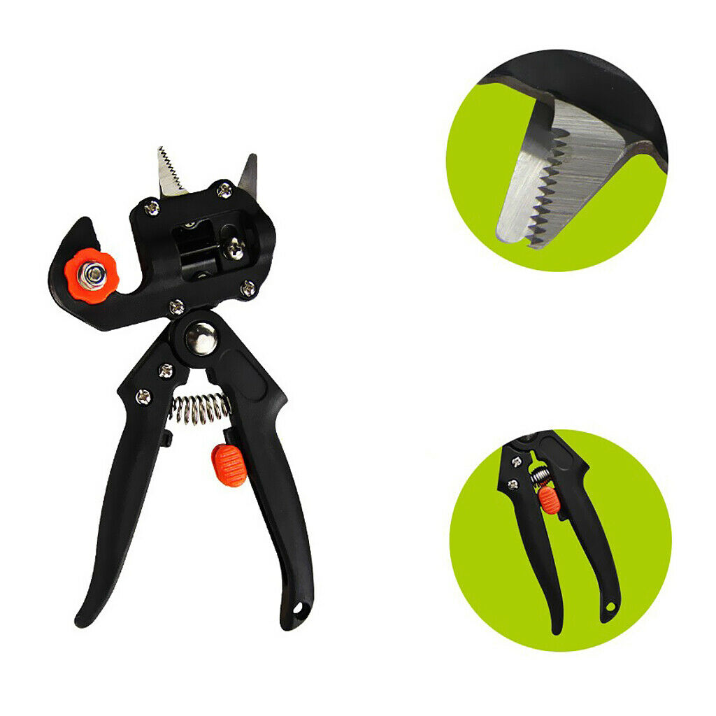 Professional Grafting Cutting Tool Pruning Garden Fruit Tree And Grape Vines