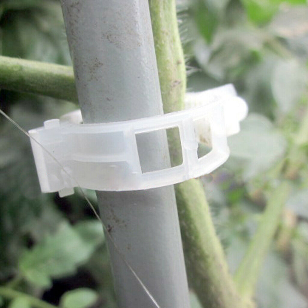 100pcs Durable Vine Plant Clip Plant Vines Fixing for Tomato Pepper Cucumber
