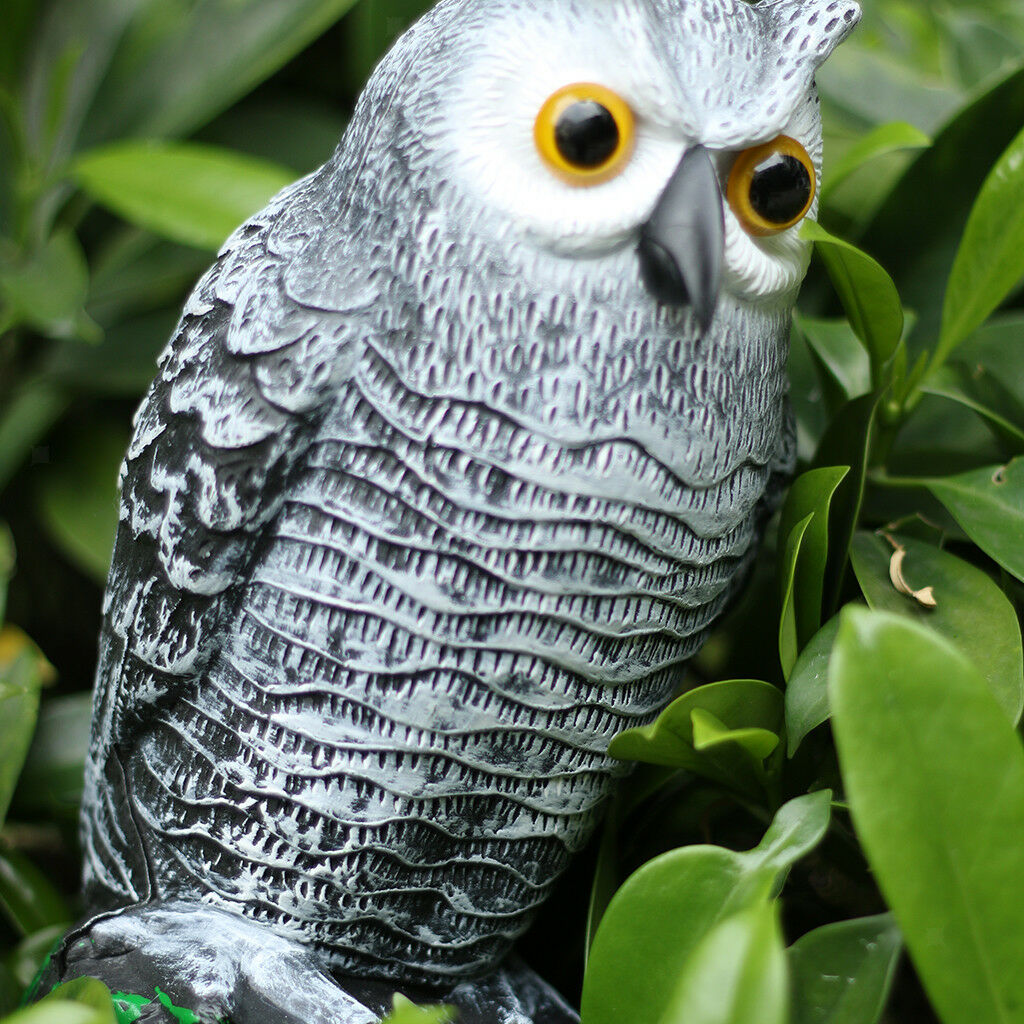 2pcs PE Plastic Owl Decoy Yard Scarer 26cm & 42cm Pest Control Garden Decor