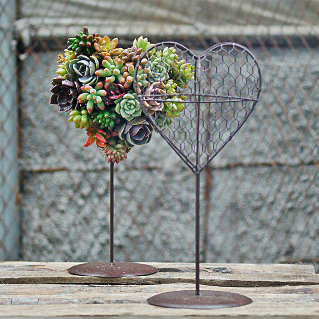 2Pcs Display Stand Iron Heart Shaped Stand Rack Holder for Air Plant Succulent
