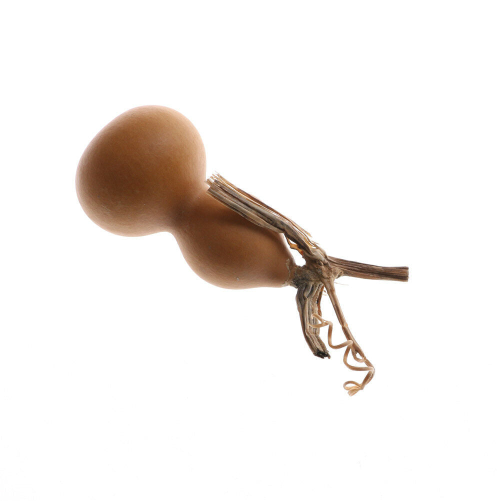 2pcs 40mm-60mm Natural Random Dry Gourd Crafts Arts Collectio.l8