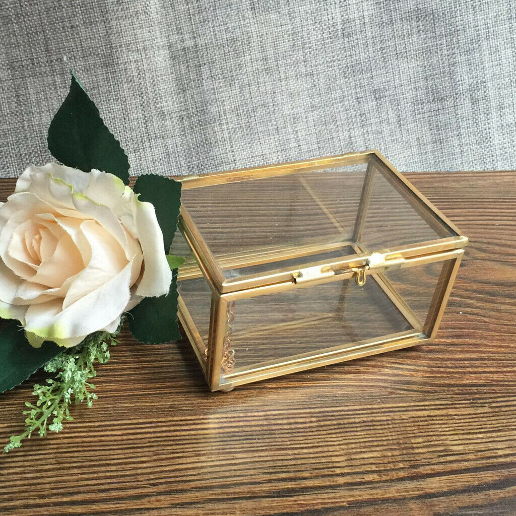 Geometric Terrarium Clear Jewelry Case Succulent Plants Container 10x7x6cm