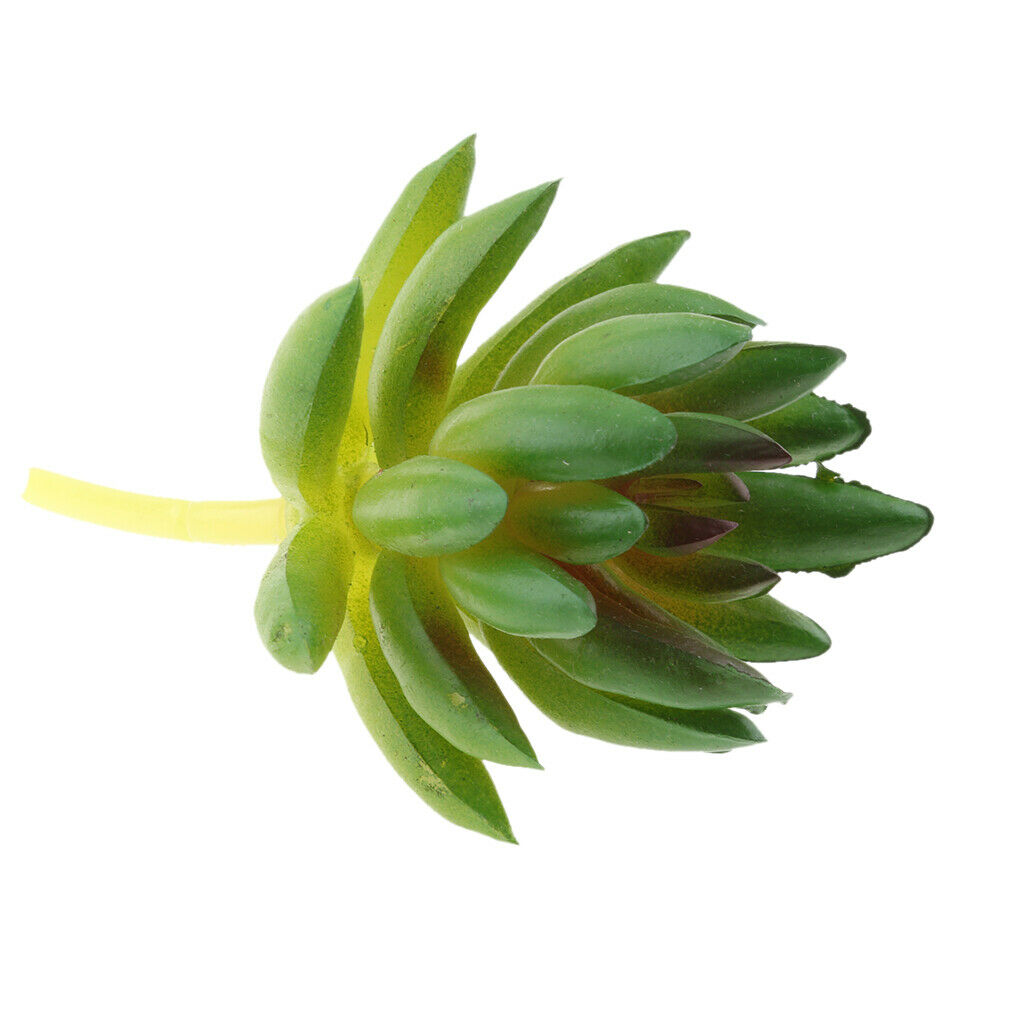 2 Pieces. Artificial Echeveria Succulents Decoration - Green +