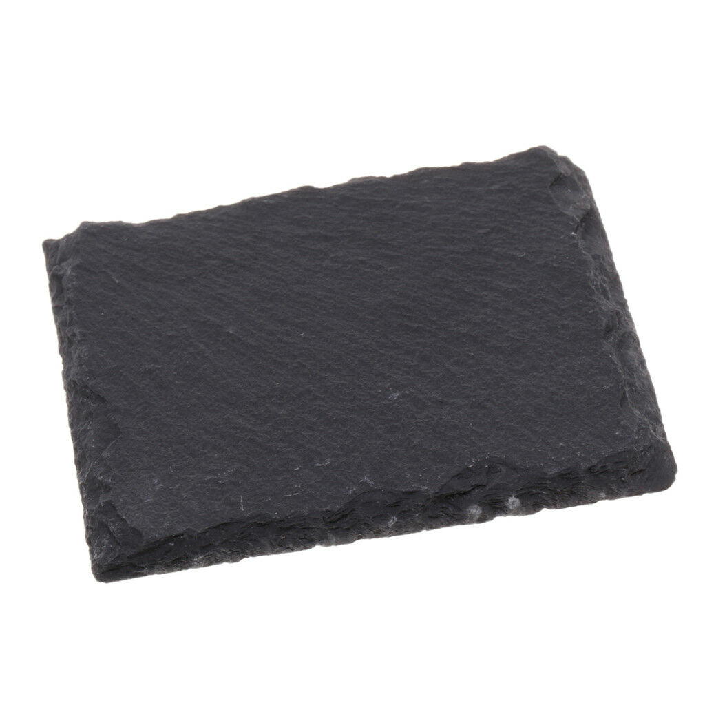 Reptile Turtle Basking Platform Tortoise Rock Plate Feeding Food Dish Bowl