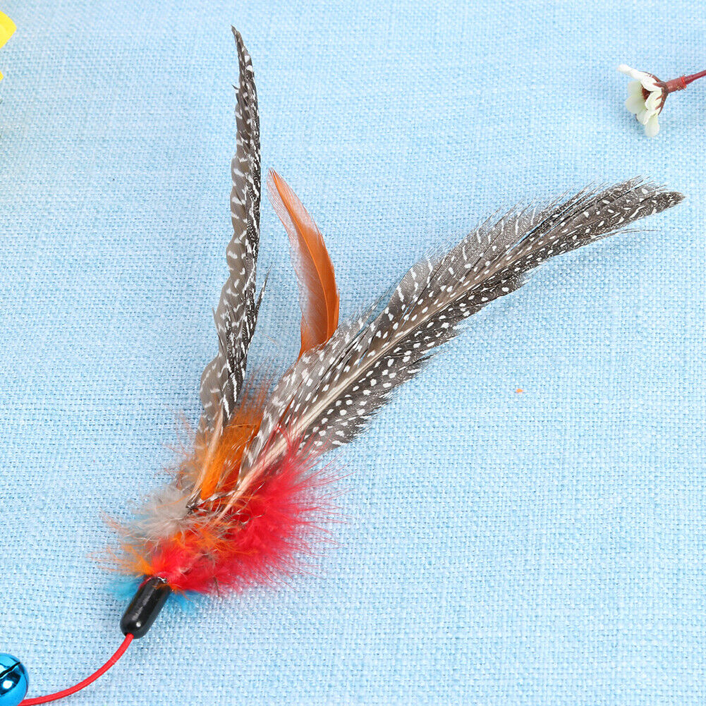 Cat Teaser Wand Toys Colorful Feather Rod Pet Interactive Stick with Bell @