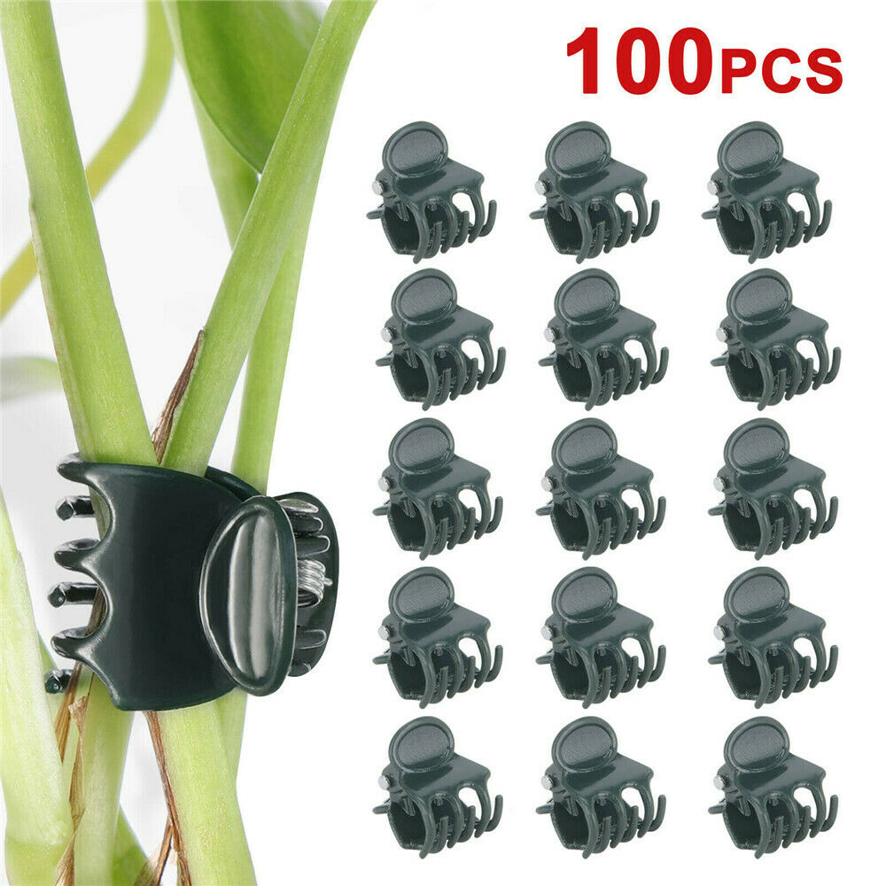 100x Small Orchid Plant Clips Set in Dark Green Plastic Flowers Plant Stake