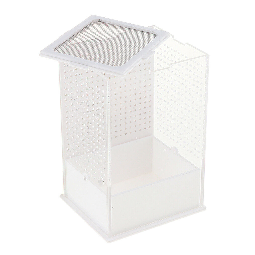 2x Reptile Feeding Box Transparent Cage Hatching Container for Lizard Frog 1
