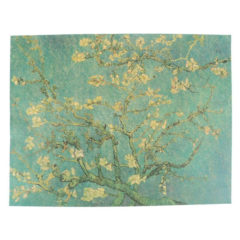 Beautiful Apricot Flower Retro Kraft Paper Adornment Poster Cafe Wall Stic.l8