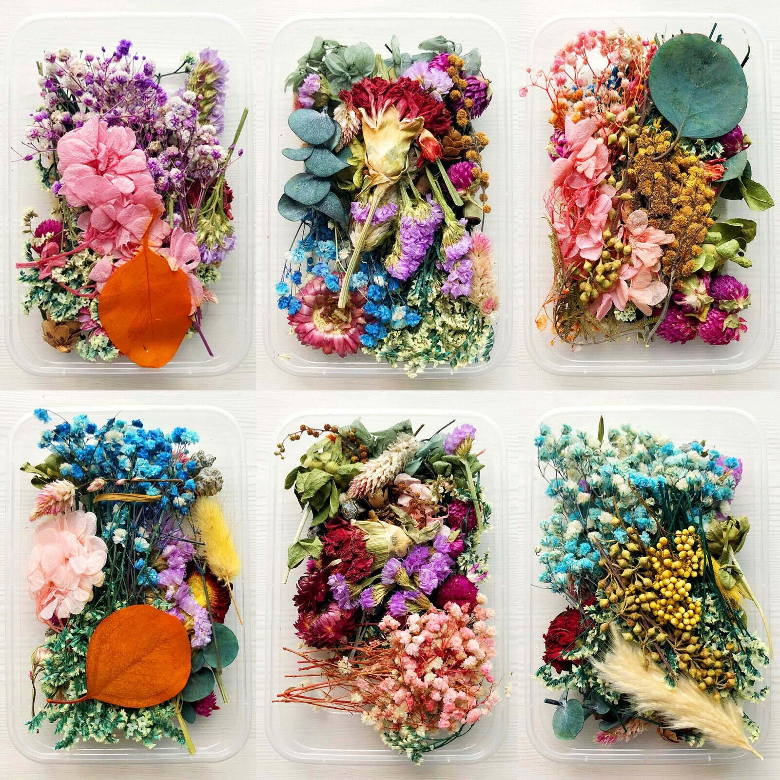 1Box â€‹â€‹Mixed Dried Flowers Leaves Jewelry Crafts DIY Phone Cover