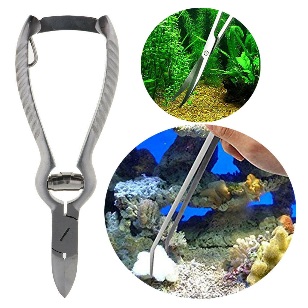 Aquatic Stainless Steel Water Plants Coral Spring Scissors  Coral Scissors