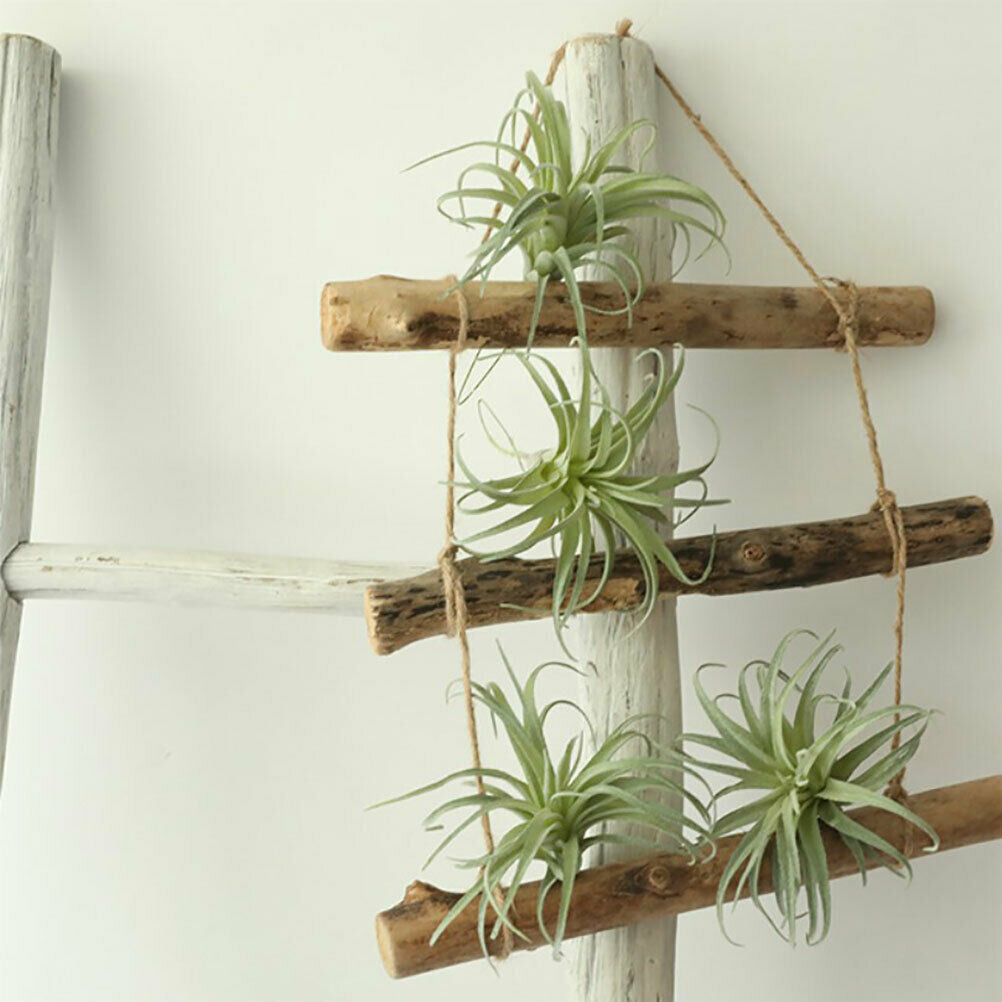 Artificial Pineapple Succulent Air Grass Plants  Flowers Home Decorati.l8