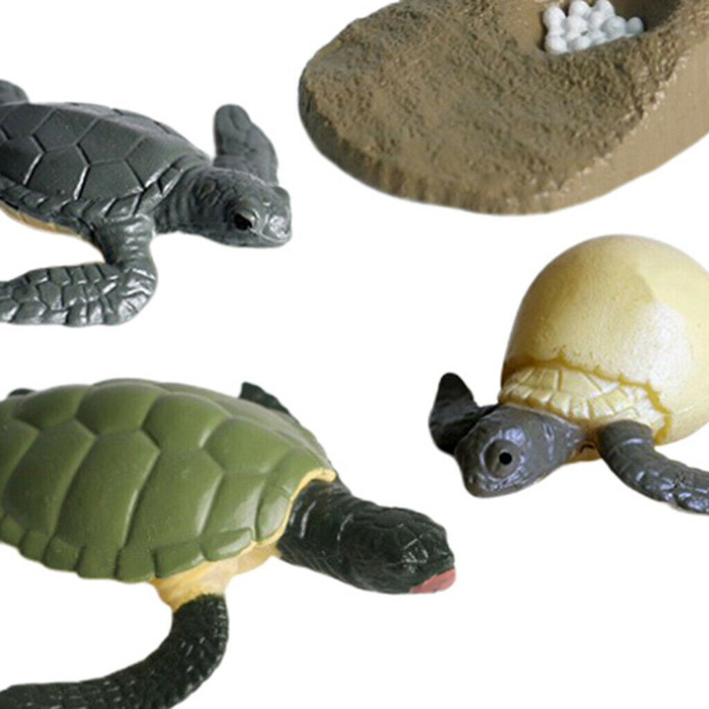 Lots 4 Solid Growth Cycle Realistic Sea Turtle Figures Kids Collectibles