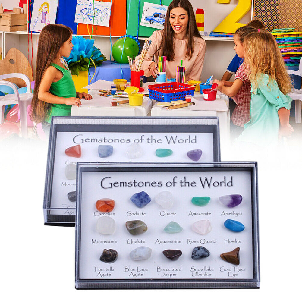 15 Pcs Mini Natural Crystal Agate Stone Rocks Minerals Fossils for Kids Teaching