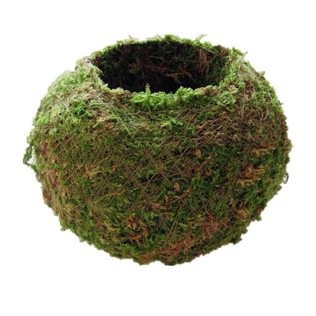 2pcs 9CM,12CM Moss Ball Flower Pot Planter Bonsai Plant Holder Home Garden