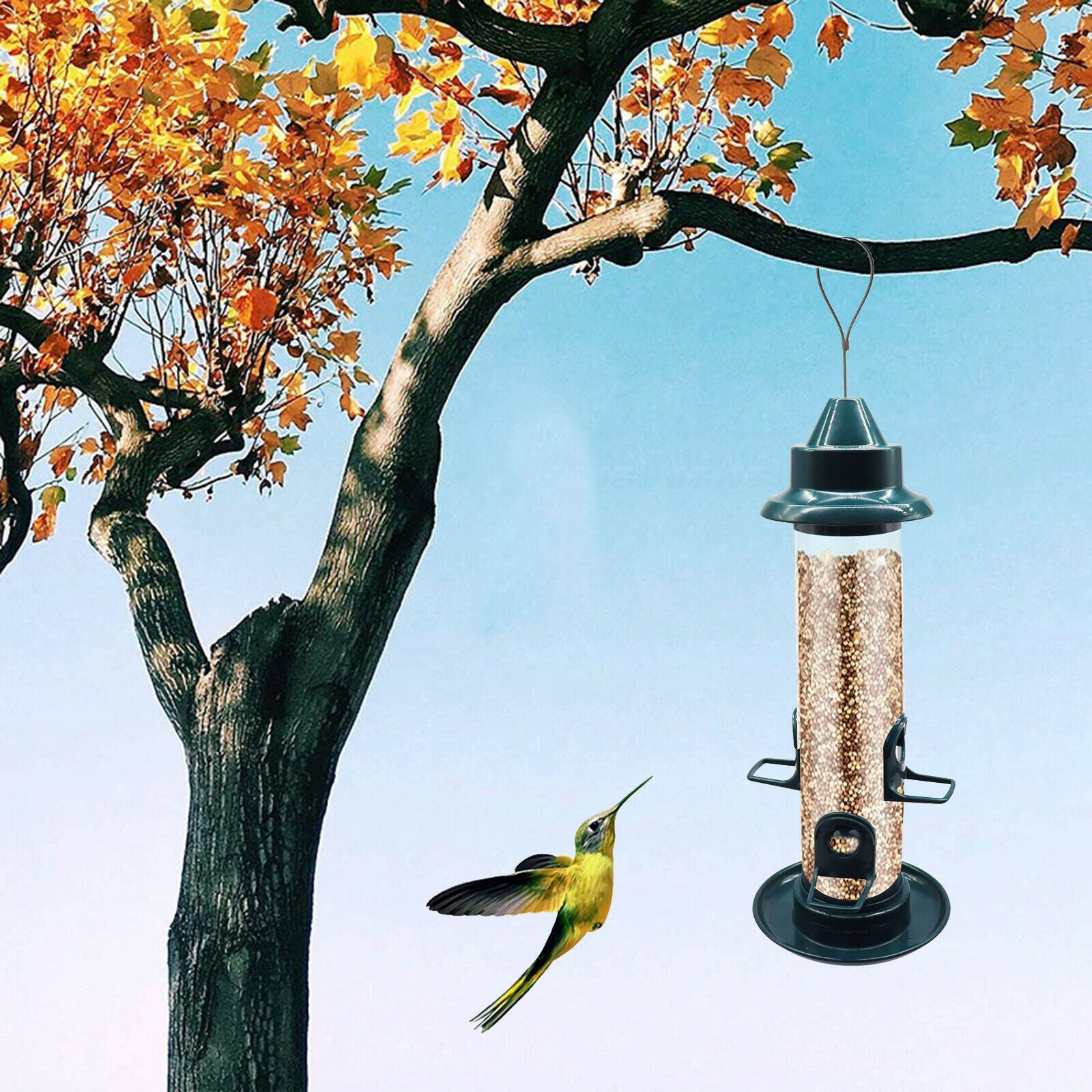 Tube Wild Bird Feeder Weatherproof Bird Watching Garden Yard Porch Patio