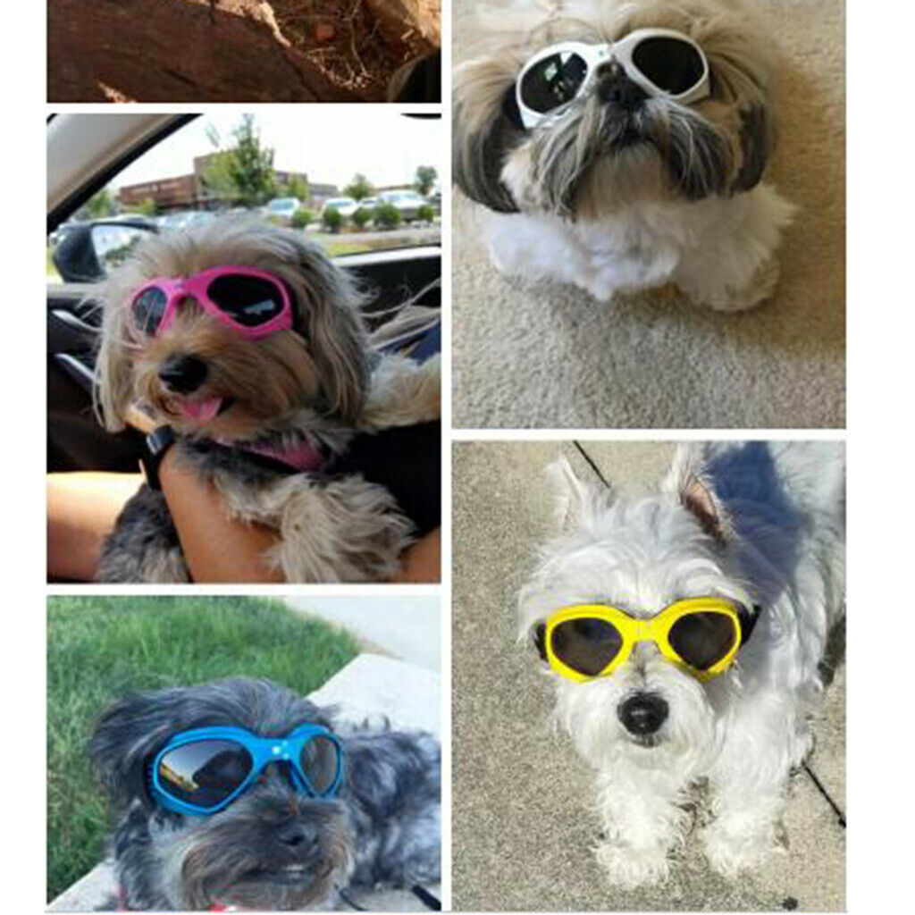 2 Pieces Folding Dog Goggles Eye Wear Protection Waterproof Pet Sunglasses for