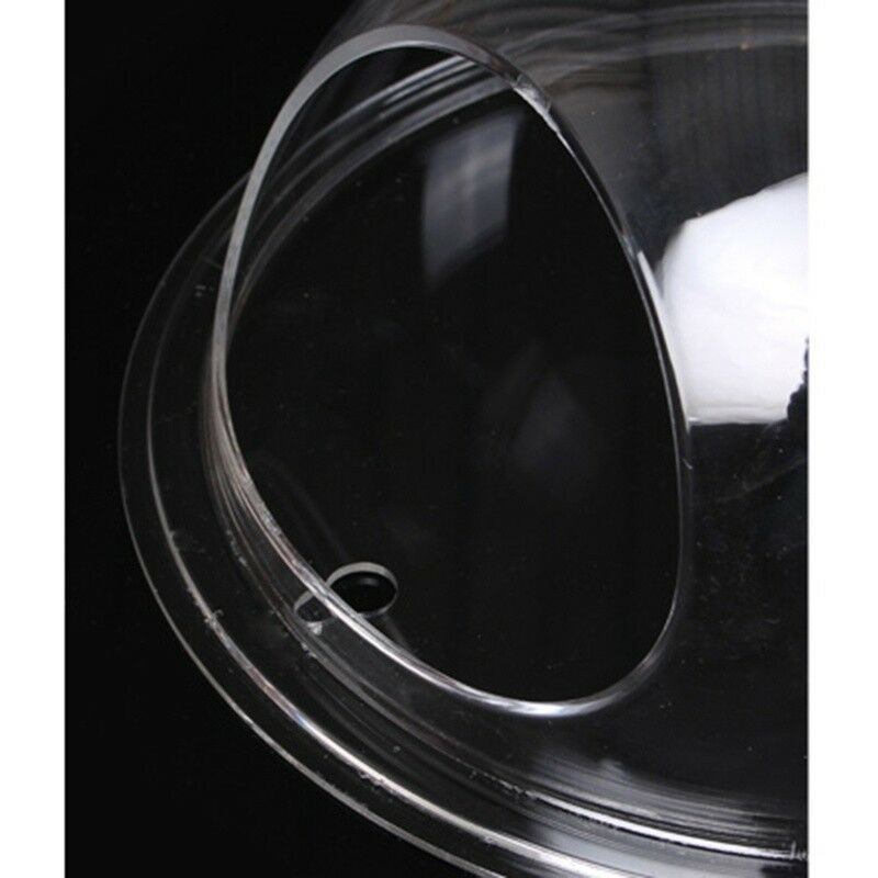 Acrylic Wall Mounted Hanging Fish Bowl Aquarium Tank Hanger Plant Home Decor