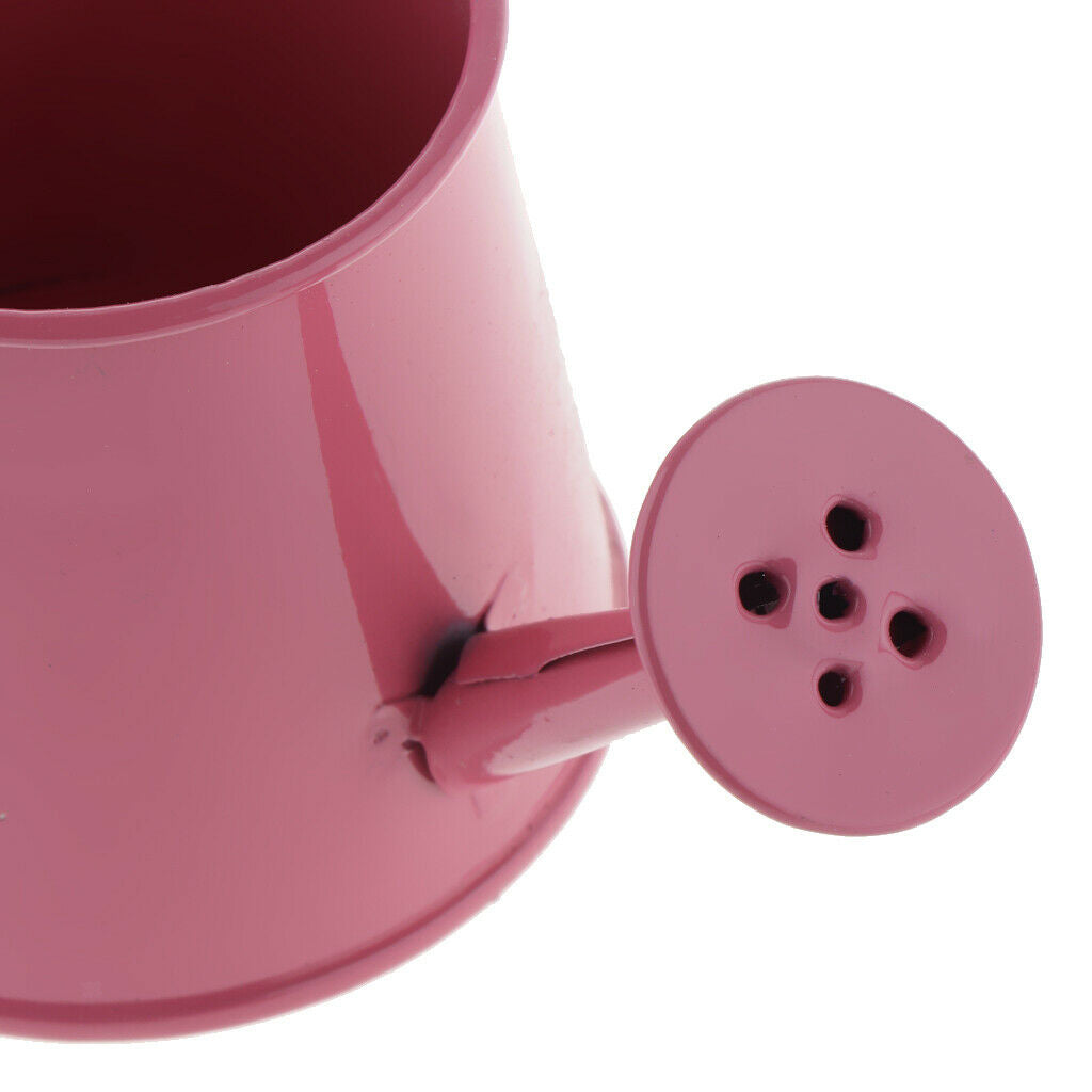 4Pcs Watering Can Flower Gardening Metal Watering Indoor Balcony Watering Retro