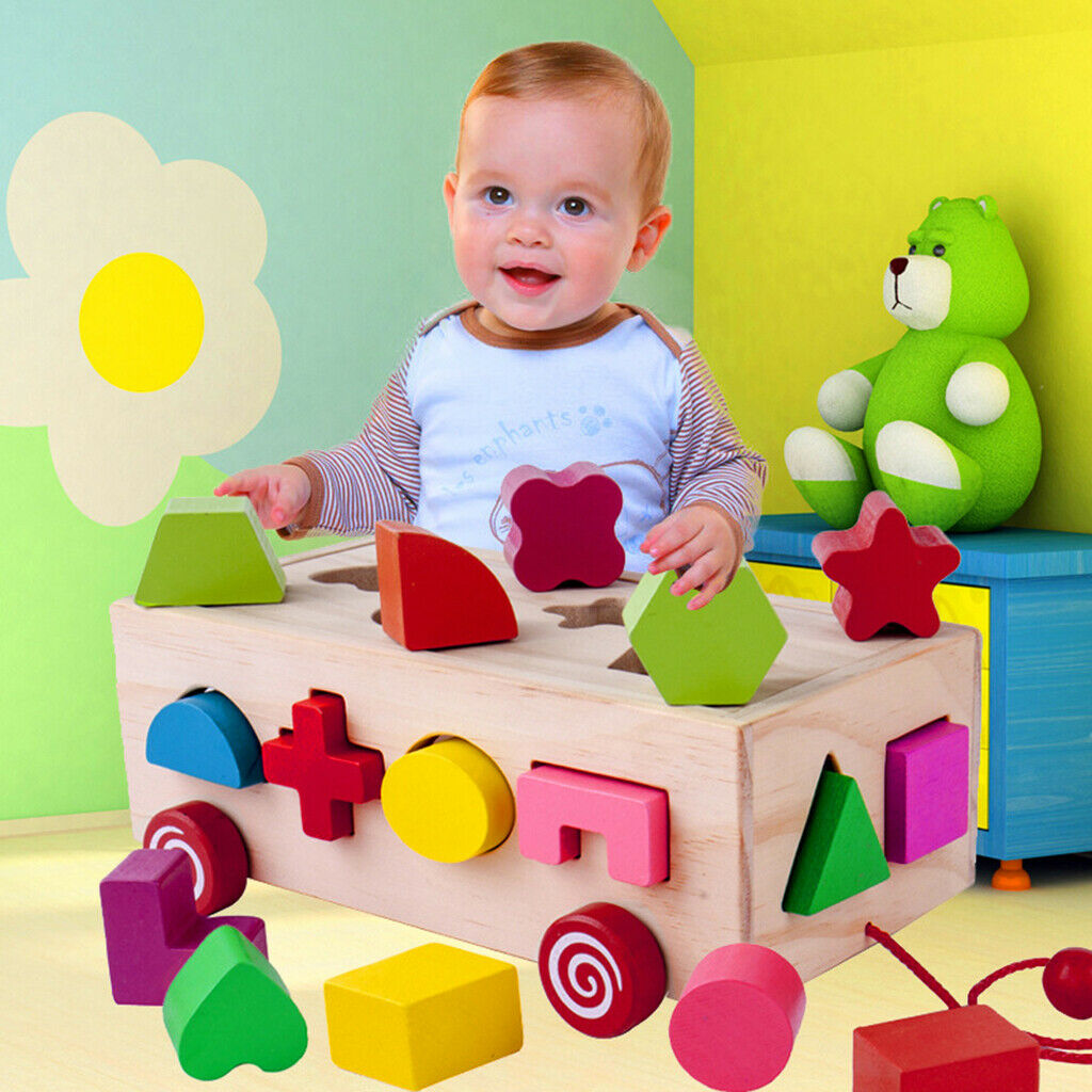 Wood Shape Sorter Block Mathching Sorting Learning Toys Montessori Kids Gift