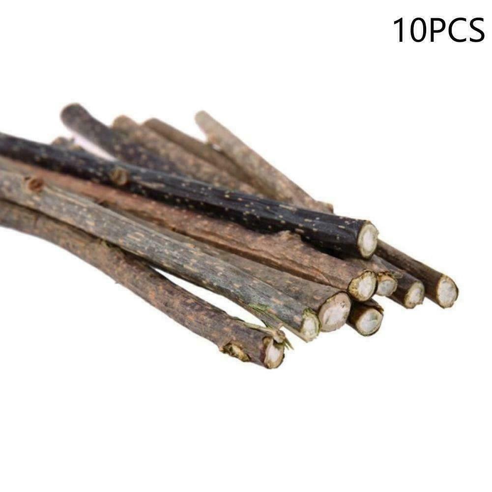 10PCS Cat Snacks Natural Matatabi Chew Catnip Stick Molar Cleaning Brush B3J6