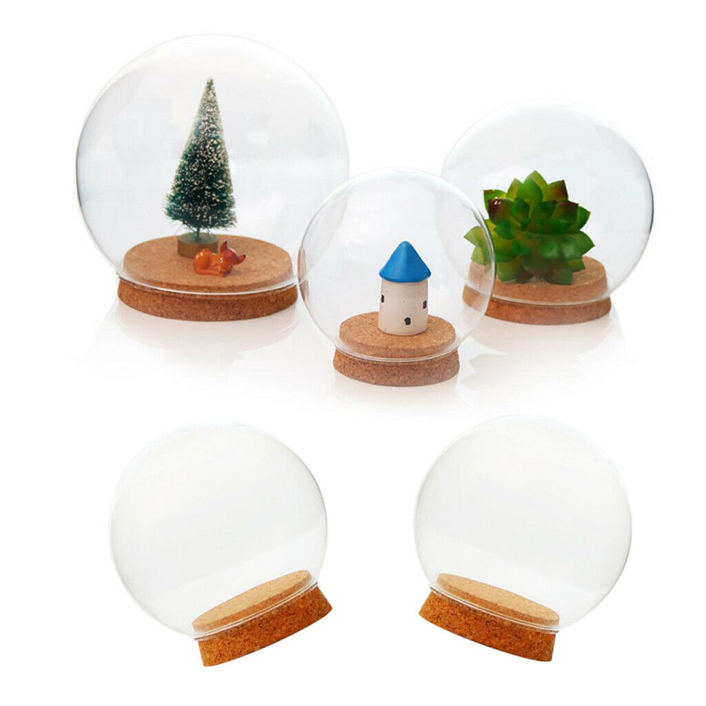 2pcs Creative Clear Glass Plant Terrarium, DIY Mothers Day Gift Making,