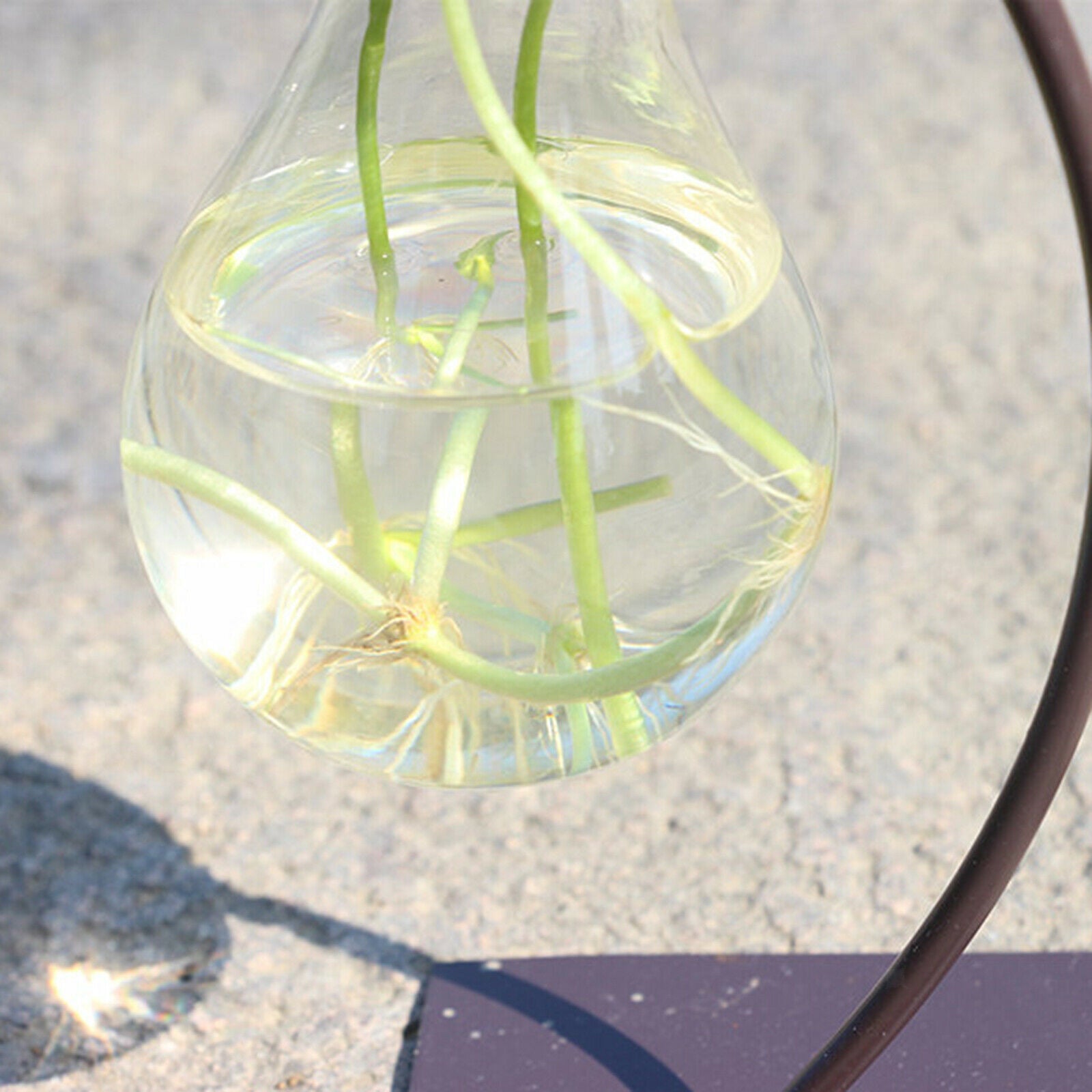 Glass Planter Shelf Bookcase Bulb Vase Stable Bird Terrarium Home Decor