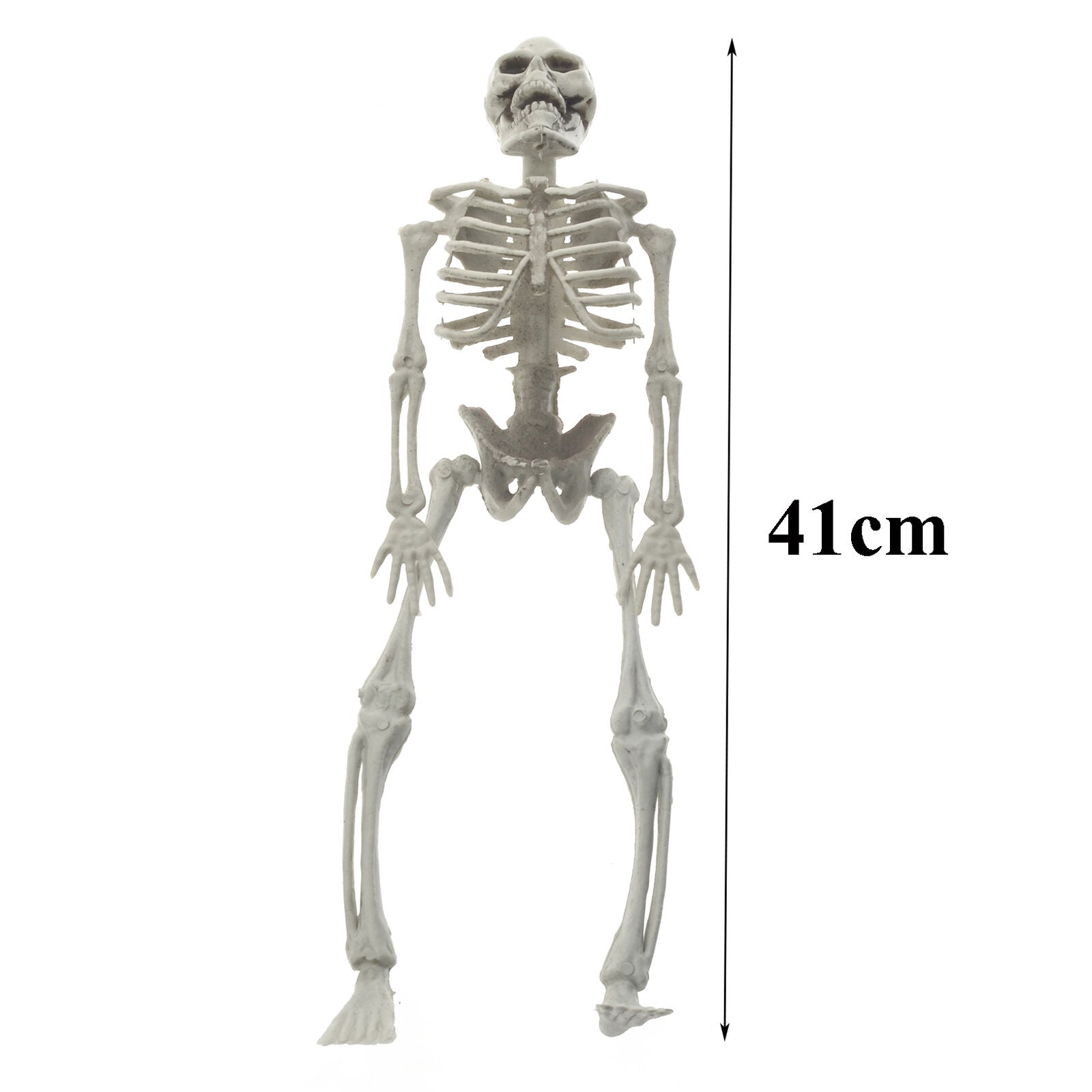Halloween Poseable Full Life Size Human Animals Skeleton Party Prop Decoration