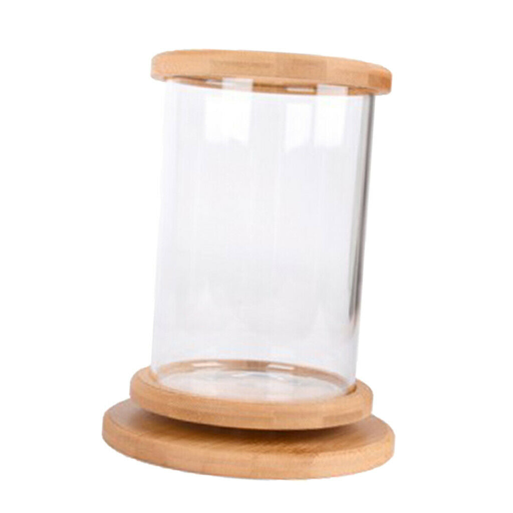 360 Degree Rotatable Cylinder Clear   Tank Small Aquarium Desktop Decoration