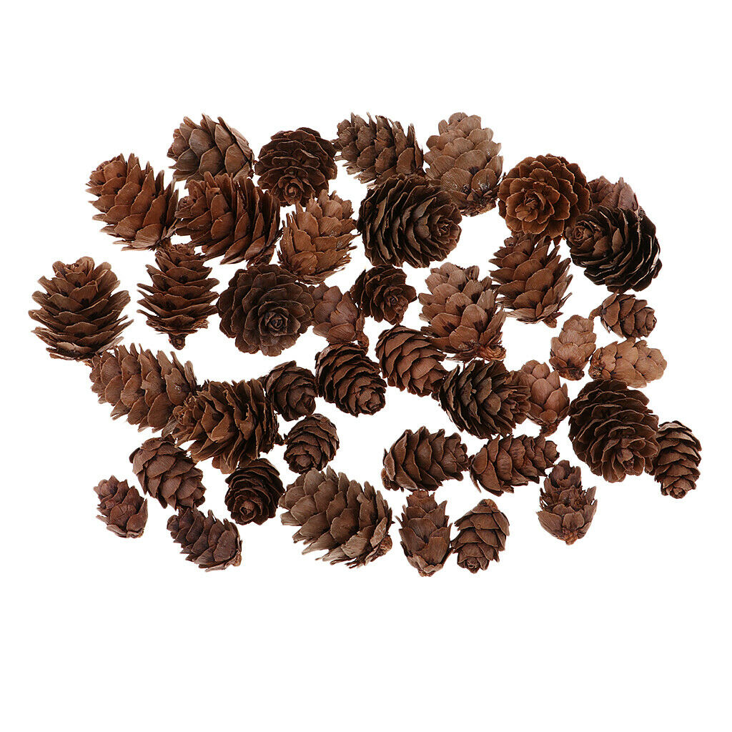 50x Natural Pine Cones Rustic Pinecones Party Wreath Embellishments Decors