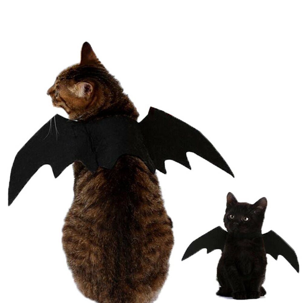 Lovely for small pet dog cat bat wings halloween wings halloween costume_ZTS Pb