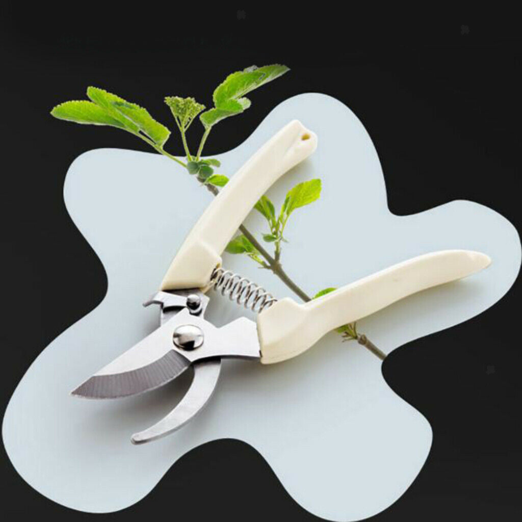 High Performance Secateurs Secateurs Secateurs, Hand Shears, Rustproof