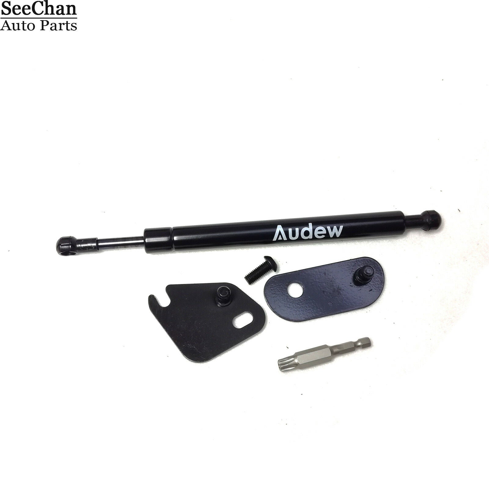 Tailgate Assist Shock Struts Fits For Ford F-150 2015- 2018 Trucks DZ43204
