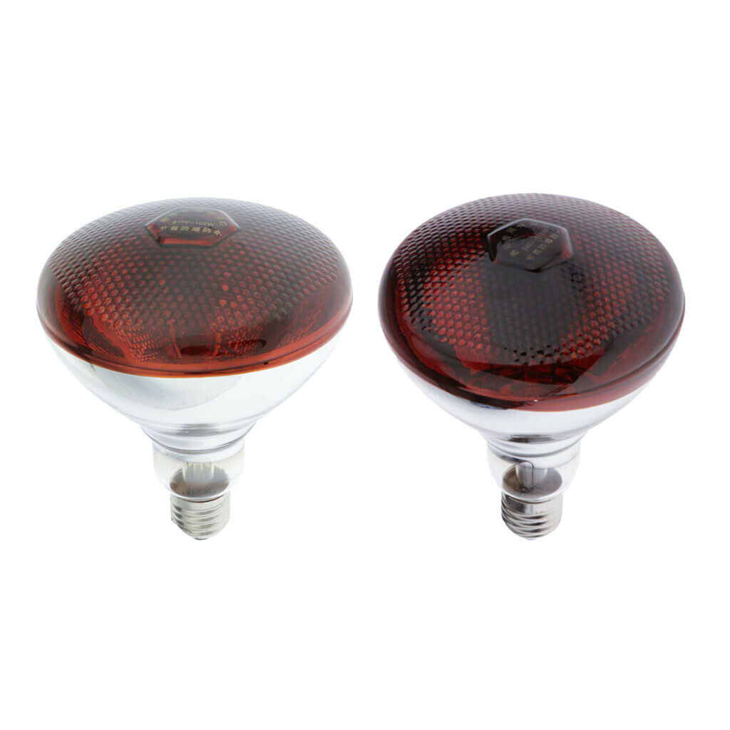 2x Bulb Elephant Reptile Turtle Habitat Heat Bulbs Lamp 220V