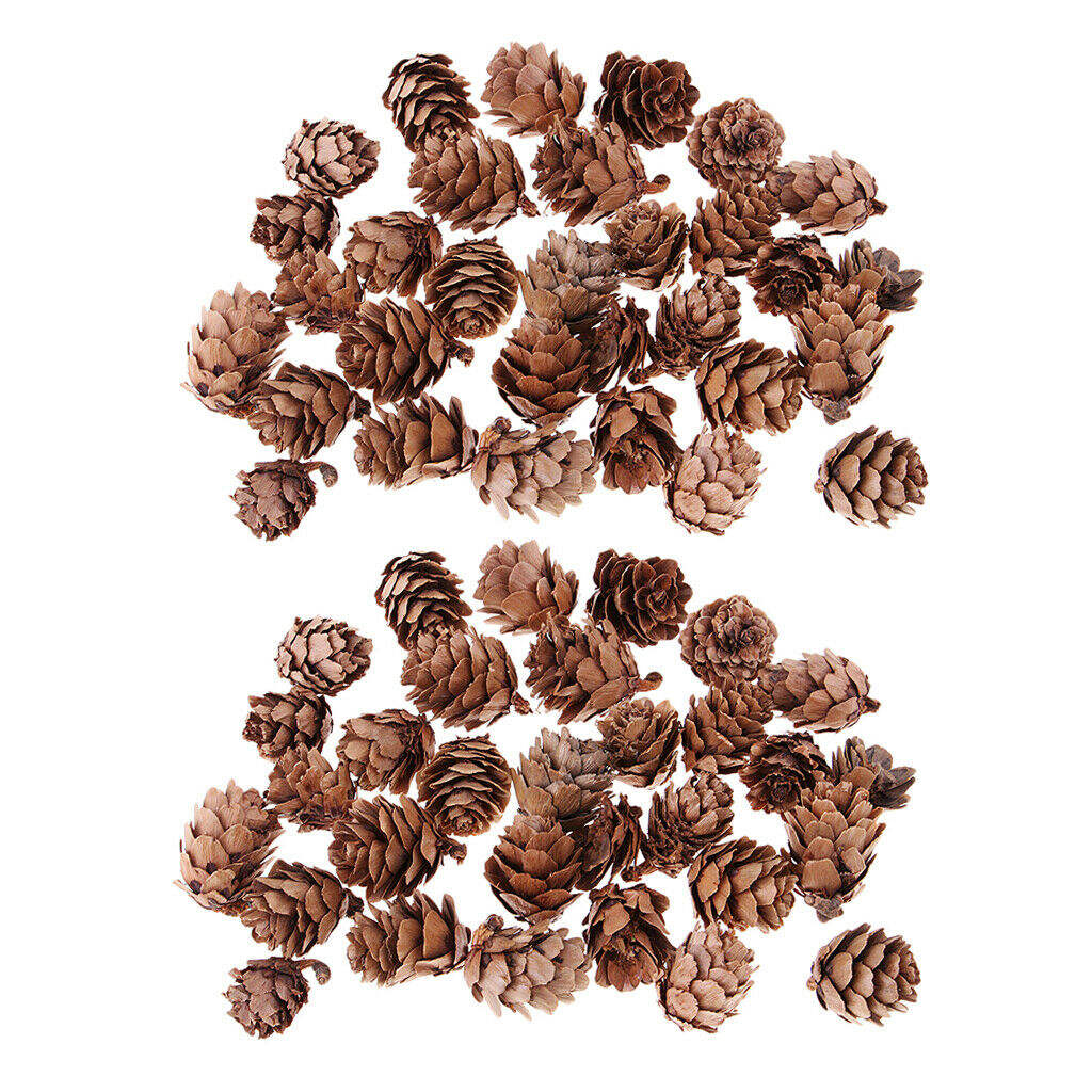 60 Piece Mini Small Decorative Pine Cones for Home Party Ornament Wedding Decors