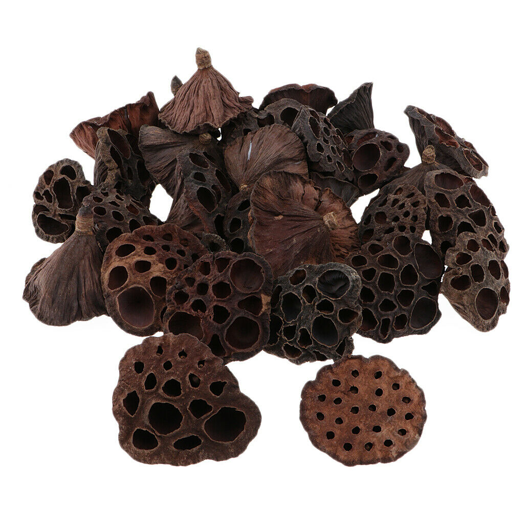 60x Natural Real Dried Lotus Pod For Flower Arrangement Home Decors Rustic
