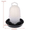 Kettle Shape Plastic Chicken Water Drinking Bird Quail Poultry Drink Implement