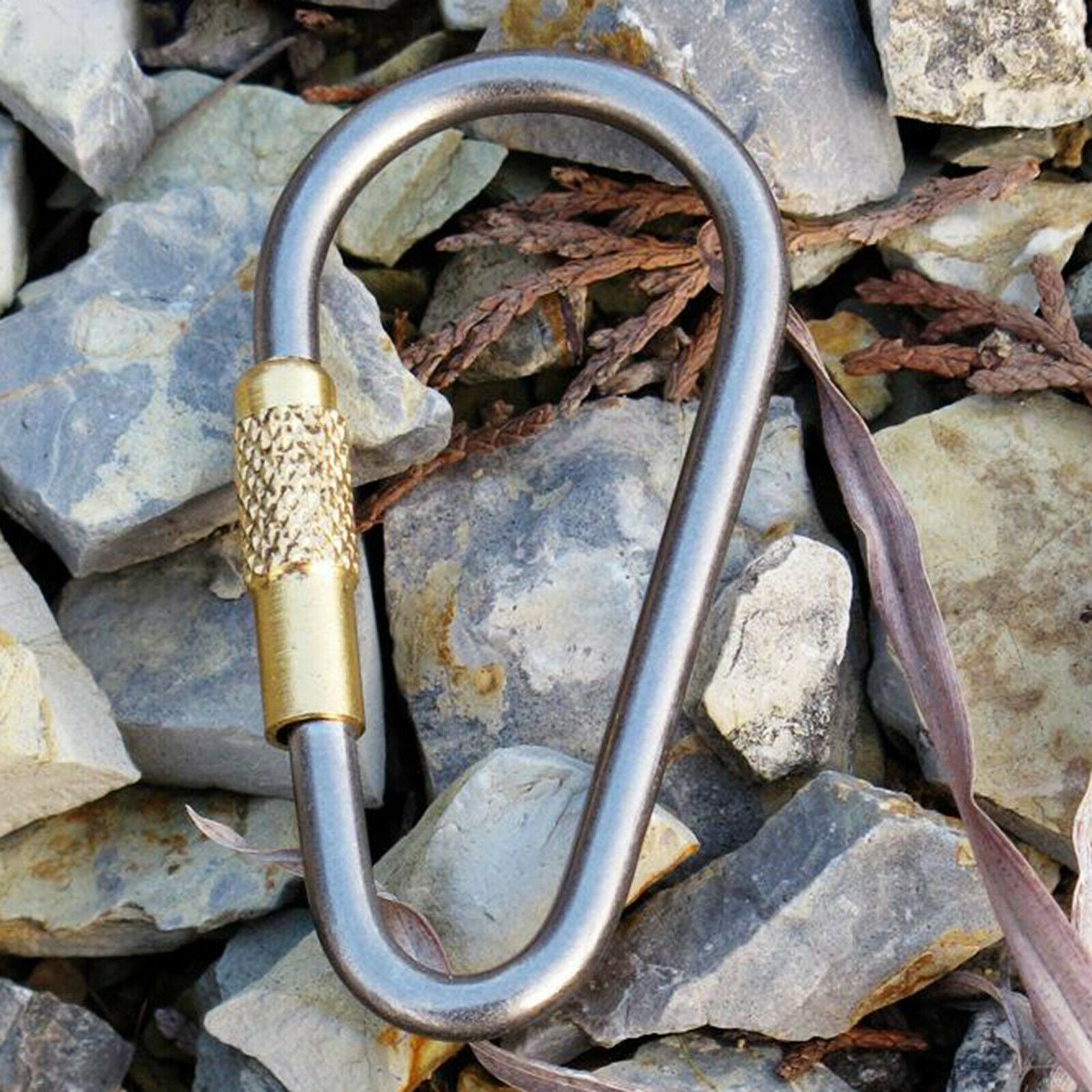 Small Carabiner Clips D-Shape Hiking Camping Keychain Water Bottle D-Ring