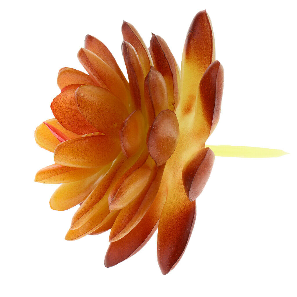 Artificial Plastic  Simulation Succulents Plants Flowers Vivid Echeveria Flower