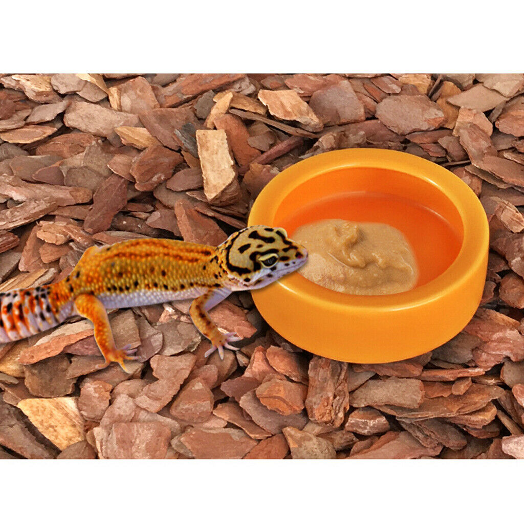 4Pcs Worm Dish Reptile Mealworms Cups or Water Bowl Ceramic Made