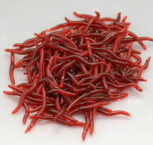 100 Pcs Soft Red Earthworm Fishing Bait Worm Lures Crankbaits Hooks Tackle Baits
